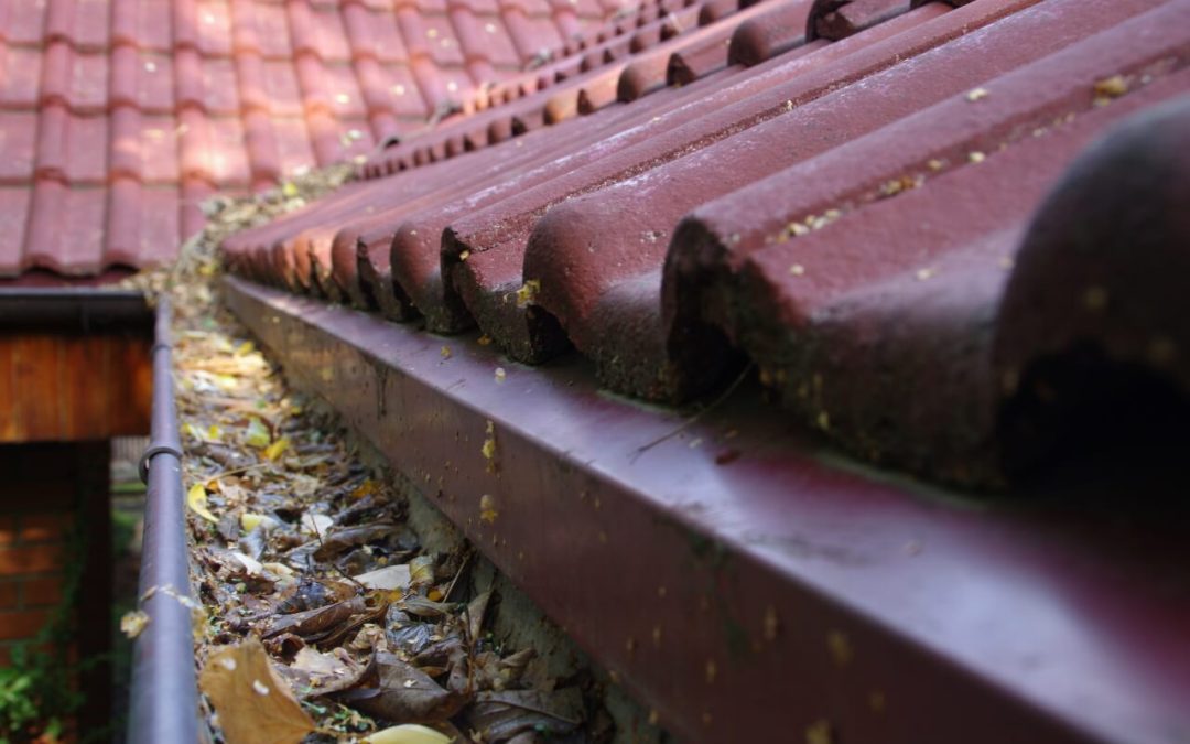 Learn How to Clean Your Gutters
