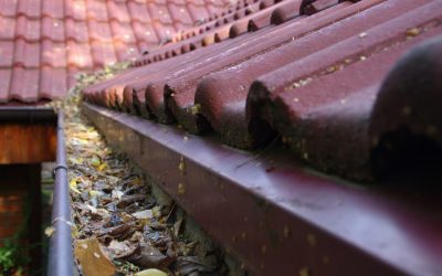 Learn How to Clean Your Gutters