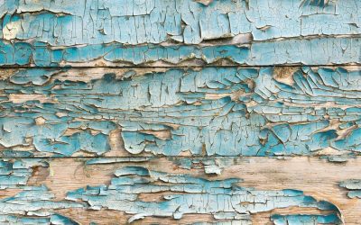 5 Signs Your House Has a Problem