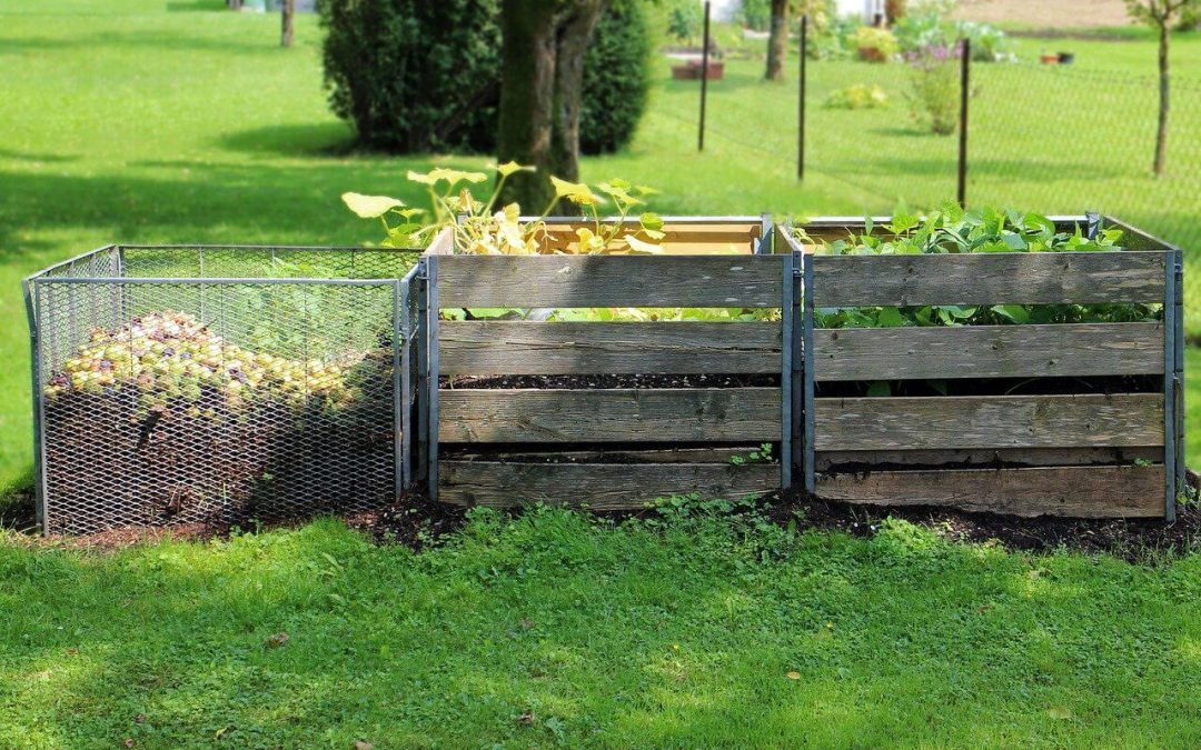 5 Tips for Composting at Home